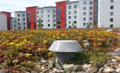 Cobertura normal ou cobertura invertida?